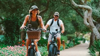 30A Electric Bike Co - Lake Dr