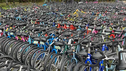 BUTTERFLY BIKE & KAYAK