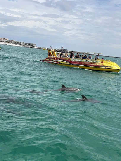 Destin Dolphin Cruise