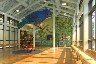 E.O. Wilson Biophilia Center