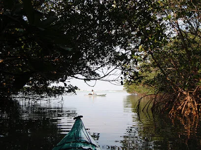 The Kayak Experience